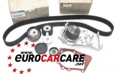 ECC119A04687R - Cam Timing Belt Kit Including Waterpump