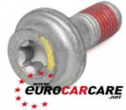 ECC440548 - Caliper Bolt