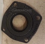 ECC300934 - Differential Oil Seal Left